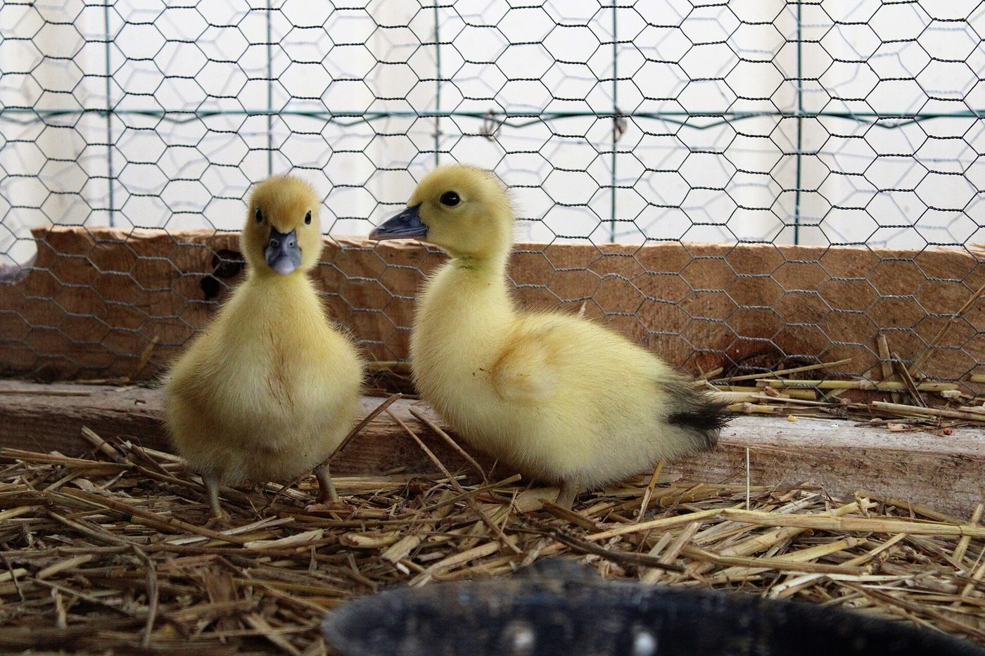 La Ferme du Brusquand