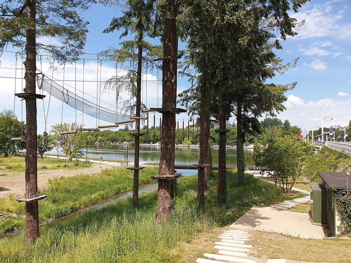 Klimparcours tussen de bomen