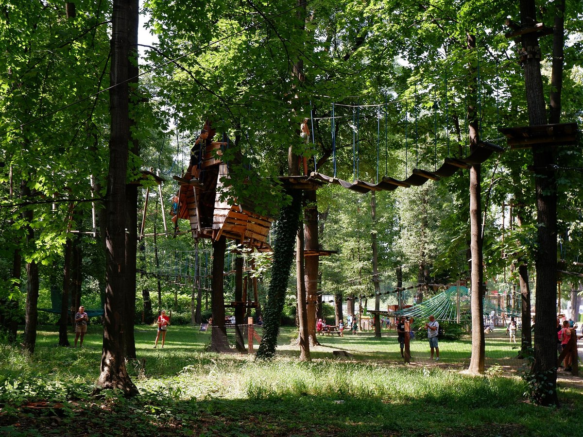 Boomtouwparcours tussen de bomen