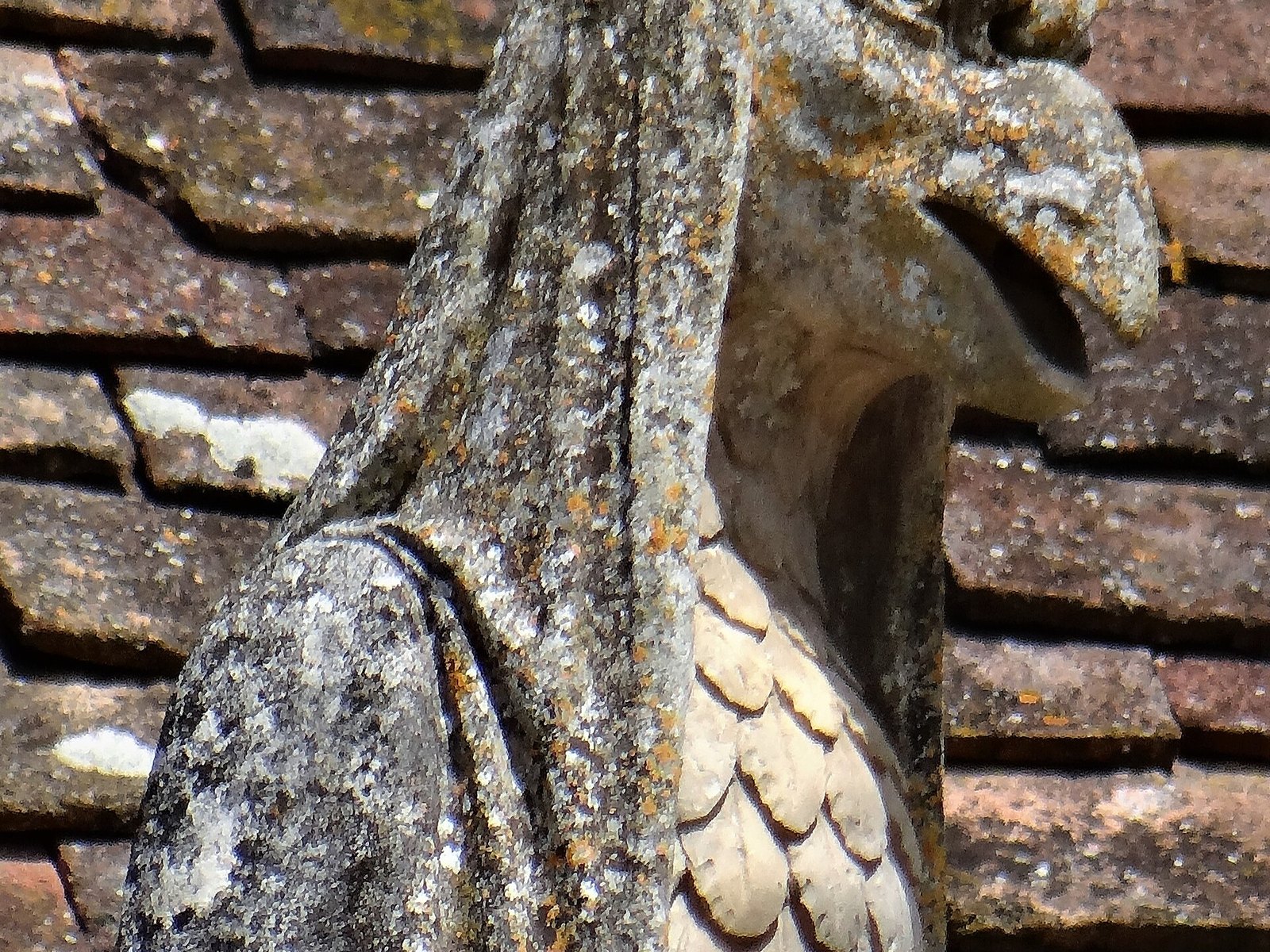 Gebeeldhouwde roofvogel aan de kasteelmuur