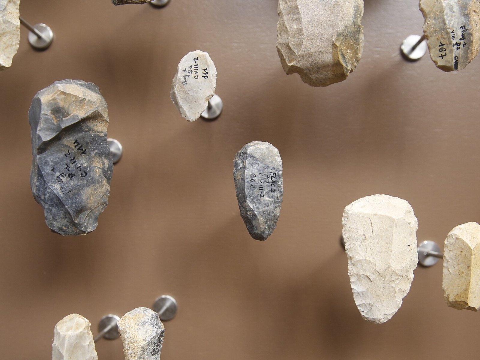 Prehistorische werktuigen van dichtbij
