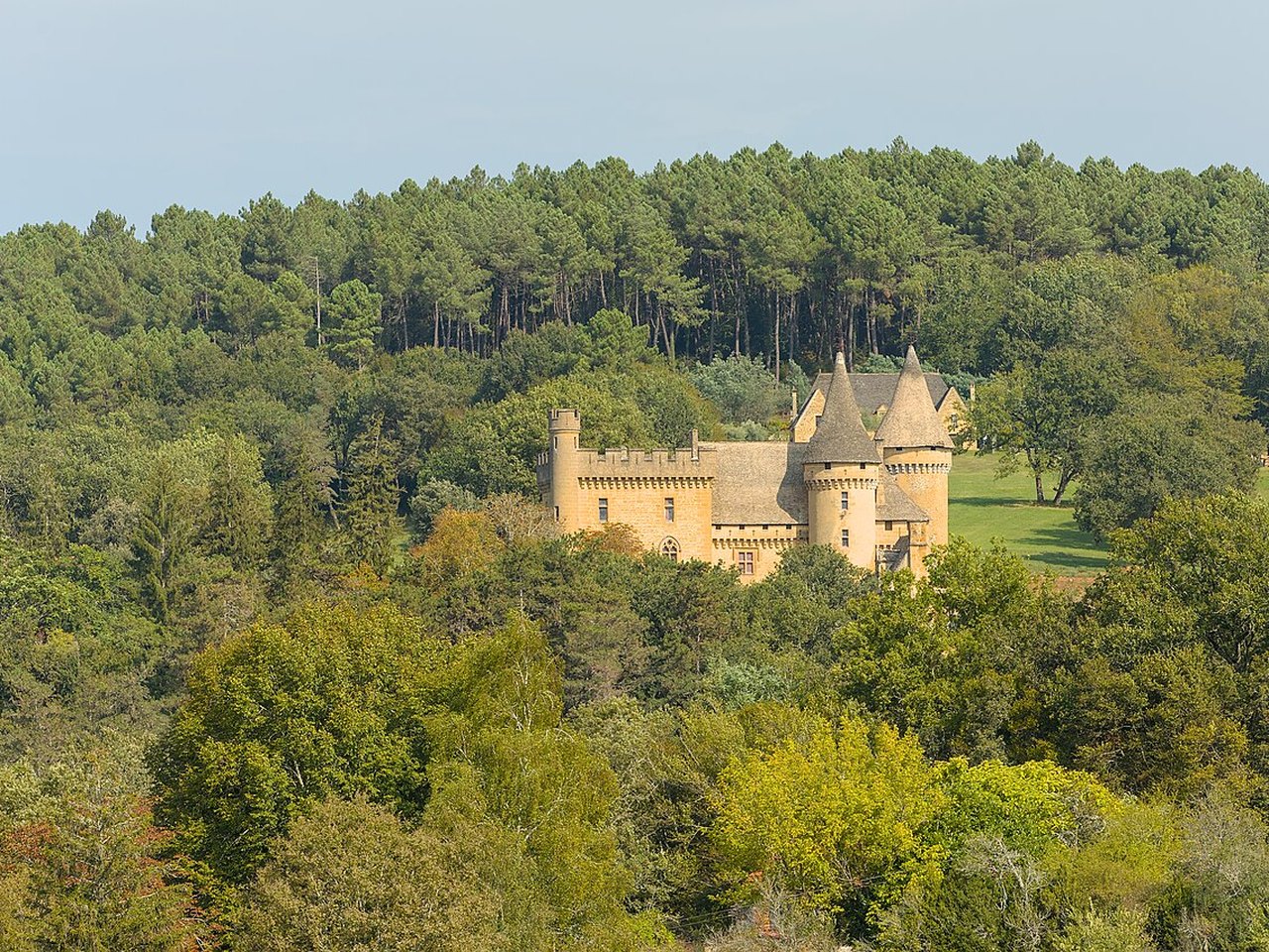 Het kasteel aan de rand van het bos