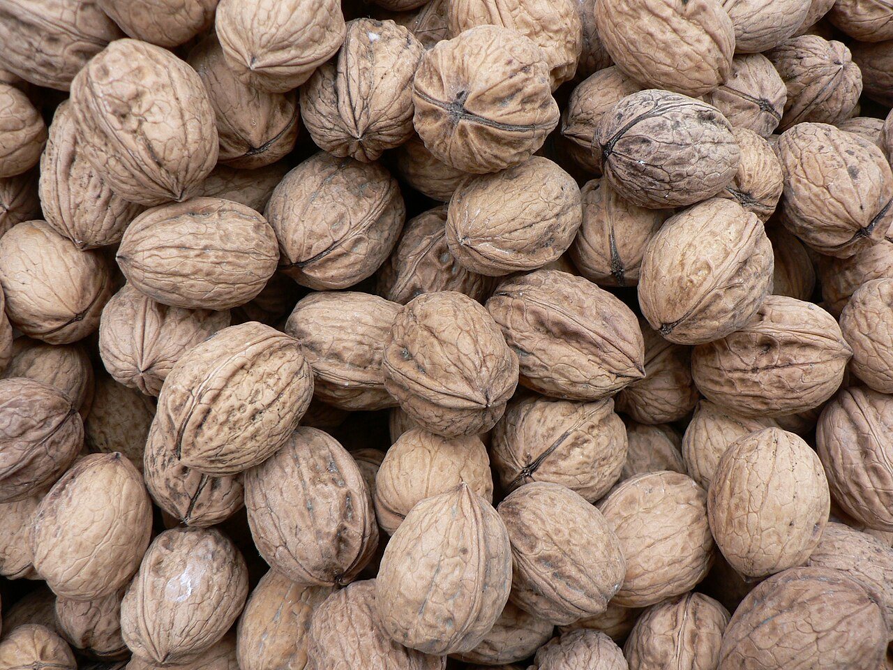 Walnoten uit de Périgord, een klassiek streekproduct van de markt